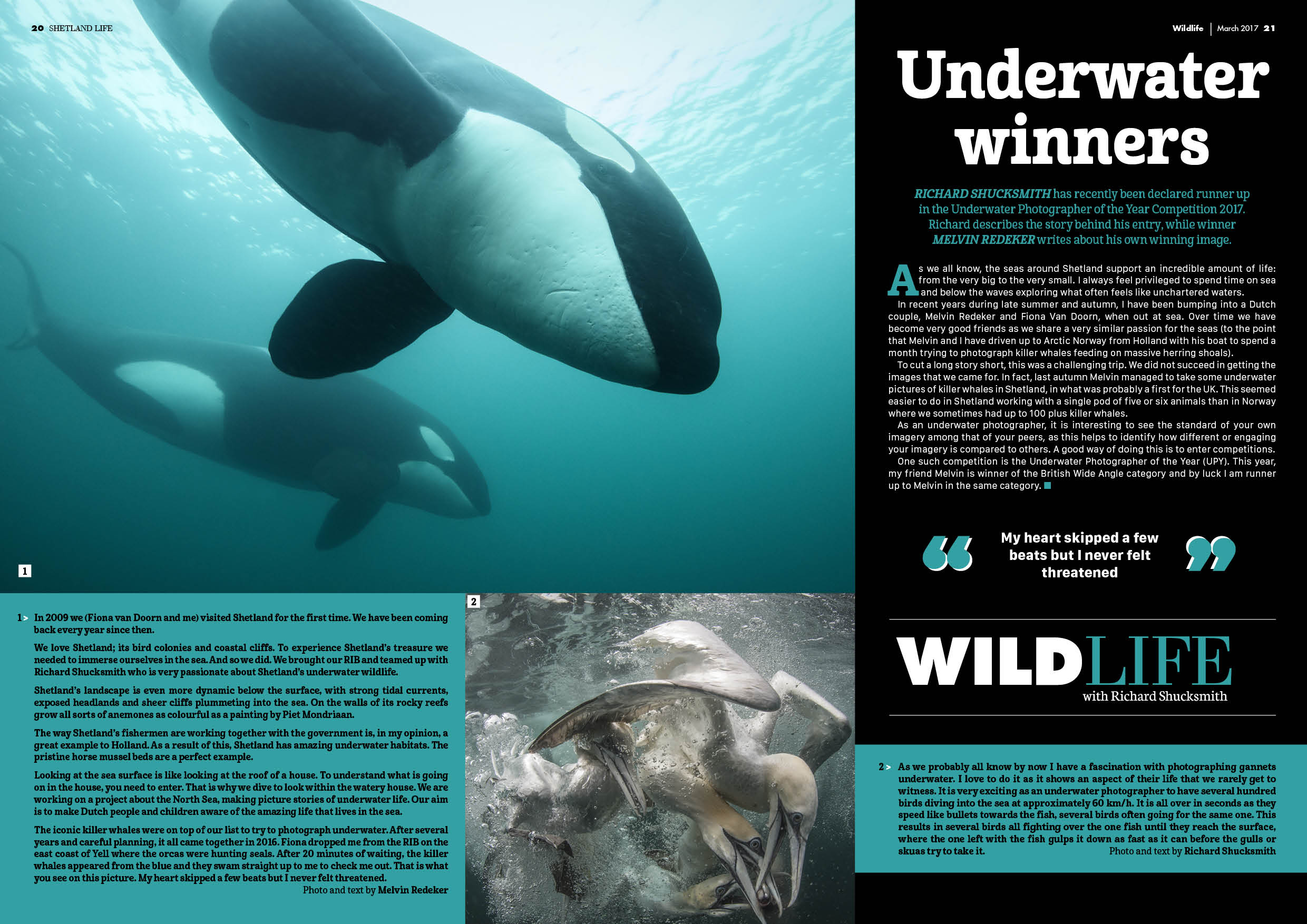 Shetland Life Magazine: Underwater winners