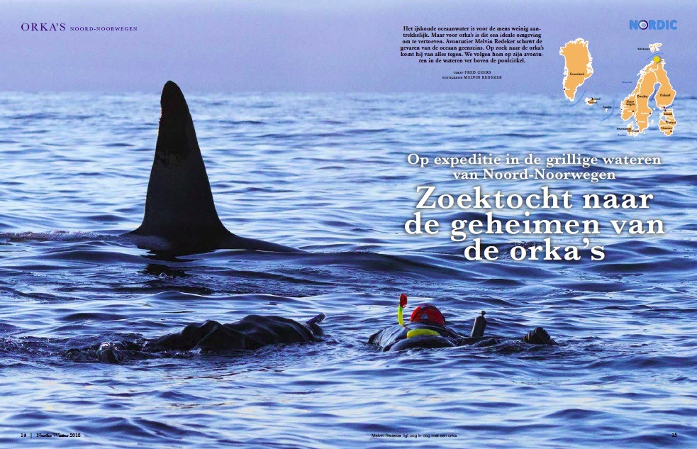 Nordic magazine zoektocht naar de geheimen van de orka's