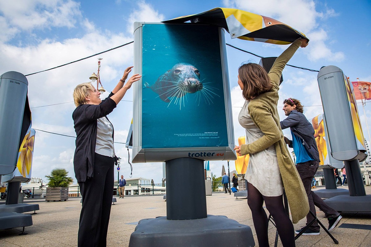 Melvin Redeker's zeehondfoto is het gezicht van de expositie op de boulevard van Scheveningen